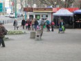 /album/comenius-tychy-8-11-2013/pb081071-jpg/
