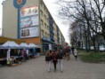 /album/comenius-tychy-4-11-2013/pb040118-jpg/