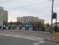 /album/comenius-tychy-4-11-2013/pb040126-jpg/