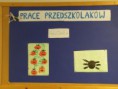 /album/comenius-tychy-5-11-2013/pb050343-jpg/