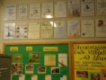 /album/comenius-tychy-5-11-2013/pb050346-jpg/
