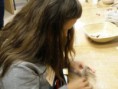 /album/comenius-tychy-5-11-2013/pb050545-jpg/