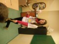 /album/comenius-tychy-5-11-2013/pb050553-jpg/