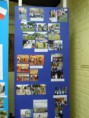 /album/comenius-tychy-5-11-2013/pb050569-jpg/